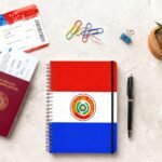 Imagen de publicación siguiente